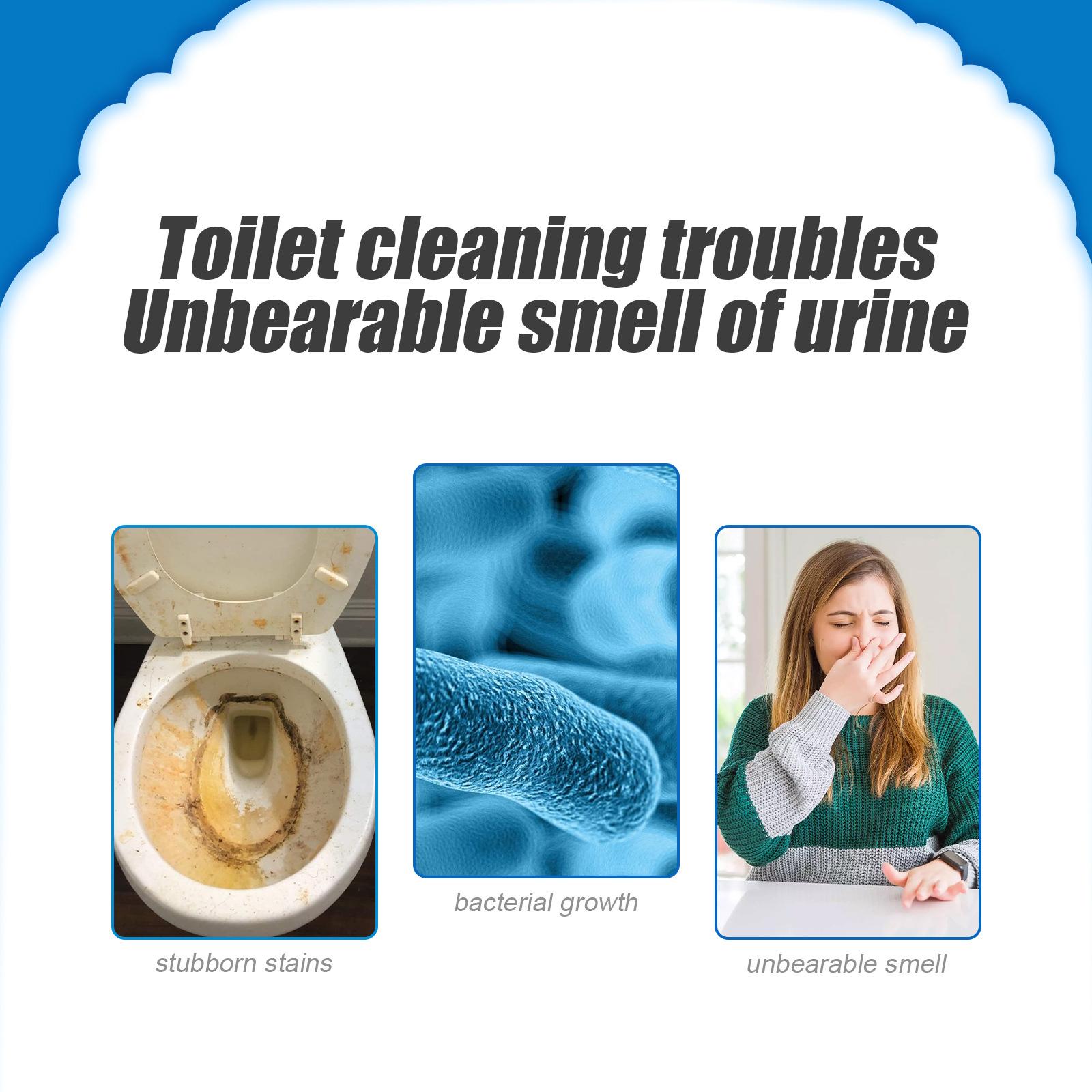 Toiletpotreiniger poeder, diep - Home Bathroom Cleaning Solution recensie en prijs